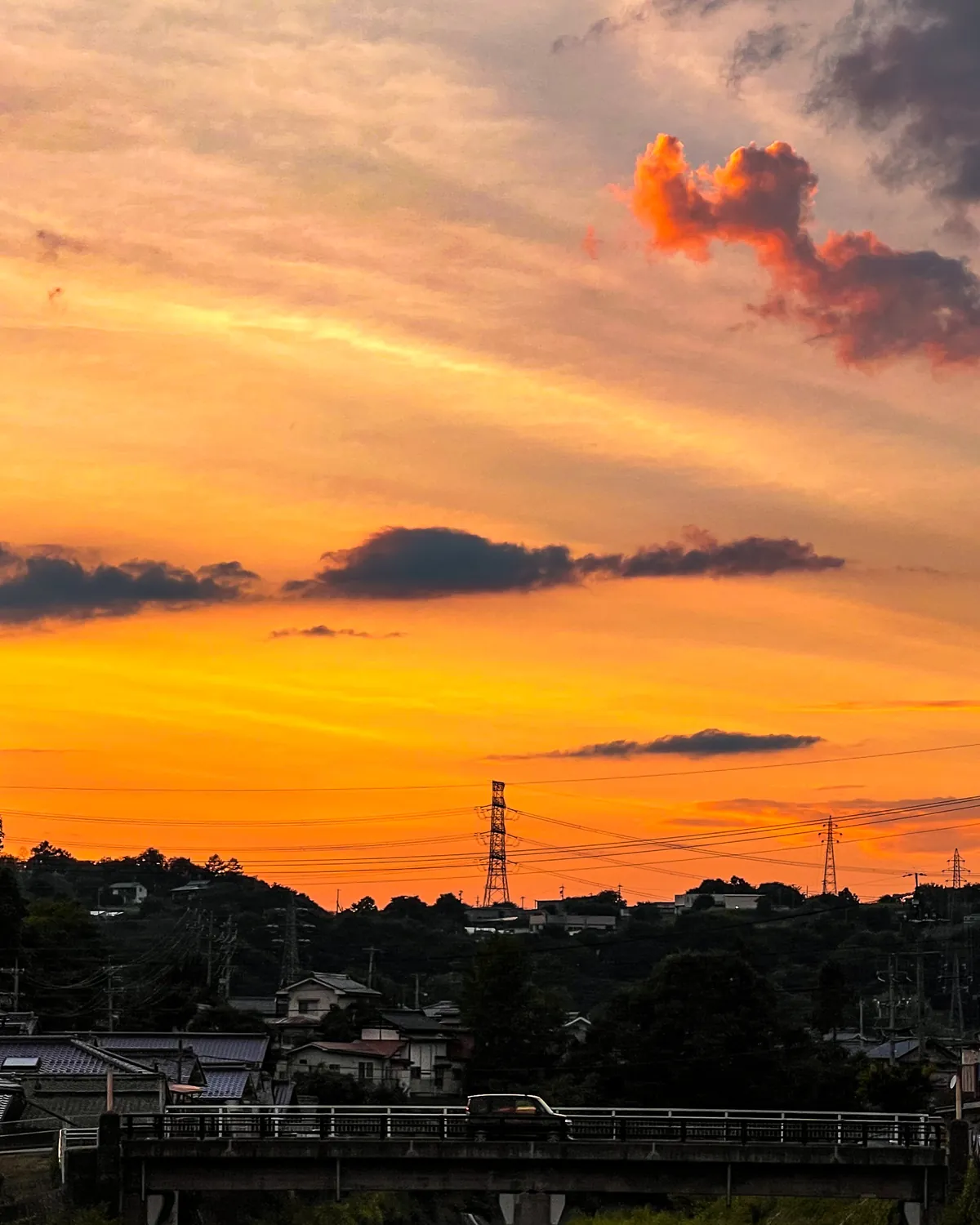 Kankokuma — Sunset